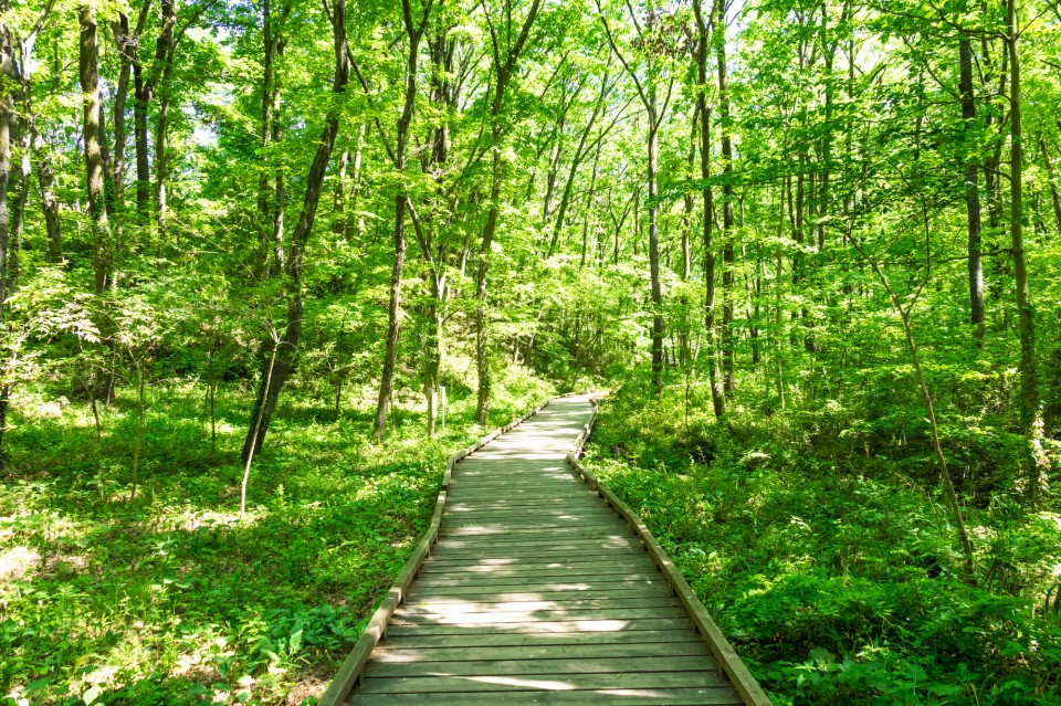 pixta_55072995_M-960x639